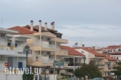 Kiwi hollidays Kiwi hollidays