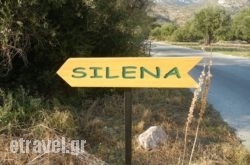 Silena hollidays