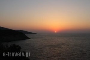 Pelagia Bay_holidays_in_Hotel_Crete_Heraklion_Ammoudara