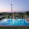 Studios Kydonia_holidays_in_Hotel_Crete_Chania_Platanias