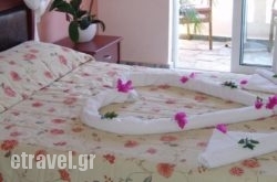 Malou Apartments hollidays