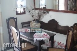 Artemis Perissa hollidays