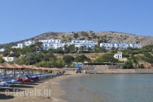 Dolphin Bay Hotel_accommodation_in_Hotel_Cyclades Islands_Syros_Galissas