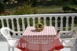 Babis Studios hollidays Babis Studios hollidays