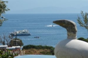 Villa Frideriki_holidays_in_Villa_Sporades Islands_Skiathos_Skiathosst Areas