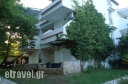 Hotel Zachos hollidays Hotel Zachos hollidays