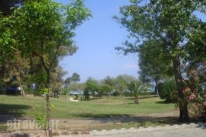 Plaza_lowest prices_in_Hotel_Macedonia_Halkidiki_Haniotis - Chaniotis