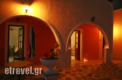 The Dahlia & Jasmine Collection by Angel Studios hollidays The Dahlia & Jasmine Collection by Angel Studios hollidays