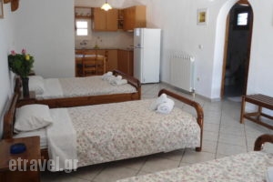 Diogenis Studios_holidays_in_Hotel_Cyclades Islands_Mykonos_Mykonos ora