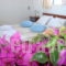 Milos Rooms_lowest prices_in_Room_Cyclades Islands_Milos_Adamas