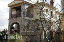 Akrolimnia hollidays Akrolimnia hollidays