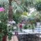 Olive Tree Cottages_best prices_in_Hotel_Crete_Chania_Palaeochora