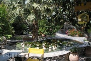 Olive Tree Cottages_travel_packages_in_Crete_Chania_Palaeochora