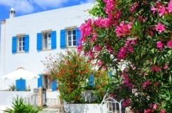 Margarita Hotel hollidays Margarita Hotel hollidays