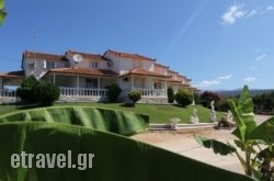 9 Mouses hollidays 9 Mouses hollidays