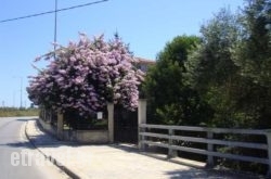 Avra Hotel hollidays Avra Hotel hollidays