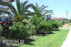 Vicky Apartments hollidays