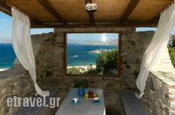 Angelika Studios hollidays