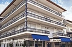 Adonis hollidays Adonis hollidays