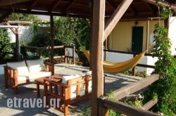 Tzane hollidays Tzane hollidays