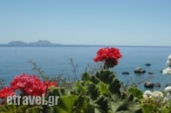 Nikos Place hollidays Nikos Place hollidays