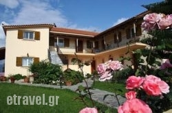 Lefki Studios hollidays