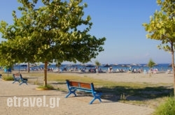 Ionion hollidays Ionion hollidays