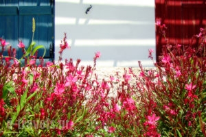 Palatiana Philoxenia Cottages_accommodation_in_Apartment_Cyclades Islands_Naxos_Naxos Chora