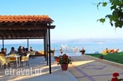 Seafront Apartments hollidays