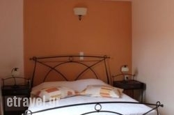 Asterida hollidays Asterida hollidays