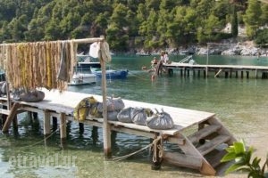 Agnondas Villas_accommodation_in_Villa_Sporades Islands_Skopelos_Agnondas