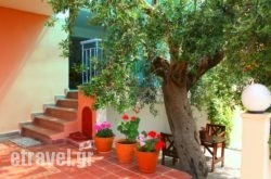 Summer hollidays Summer hollidays