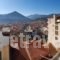 Galini_accommodation_in_Hotel_Central Greece_Evritania_Karpenisi