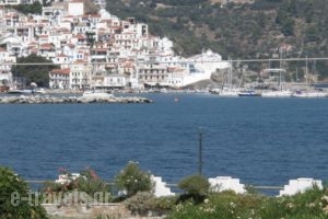 Studios Elpiniki_best prices_in_Hotel_Sporades Islands_Skopelos_Skopelos Chora