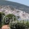 Studios Elpiniki_lowest prices_in_Hotel_Sporades Islands_Skopelos_Skopelos Chora