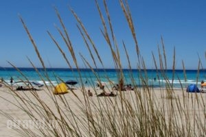 Domatia me Thea Studios_holidays_in_Room_Peloponesse_Lakonia_Elafonisos