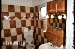 Avocado hollidays Avocado hollidays