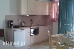 Astrokaktos hollidays