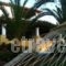 Villa Tatiana hollidays