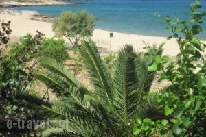 Psathi Beach_travel_packages_in_Cyclades Islands_Sikinos_Sikinos Rest Areas