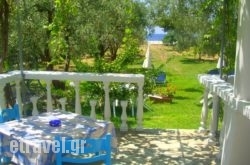 Studios Pelagos hollidays