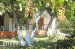 Studios Dimitris hollidays