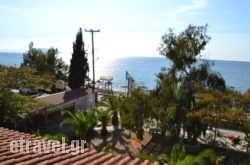 Regos hollidays Regos hollidays