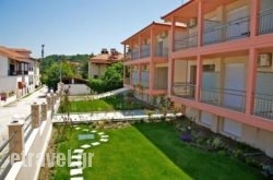 Coralli Studios hollidays Coralli Studios hollidays