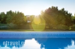 Casa Di Mare hollidays Casa Di Mare hollidays