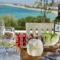 Villa Paradise_best deals_Villa_Cyclades Islands_Naxos_Agia Anna