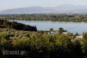 Hotel Erodios_best prices_in_Hotel___