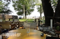 Summit Zero hollidays Summit Zero hollidays