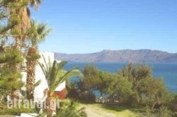 Delfini - Dimitris - Chryssanni hollidays