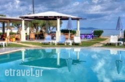 The Wave hollidays The Wave hollidays